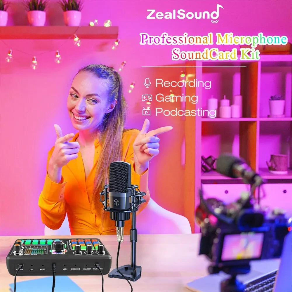 127 Kit micro et carte son Zealsound