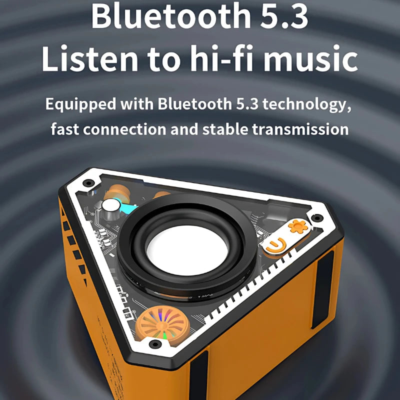 Enceinte Bluetooth portable